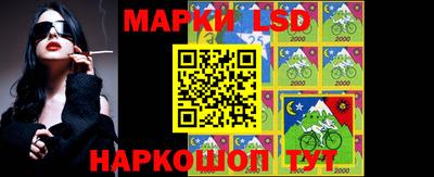 шишки Усть-Джегута