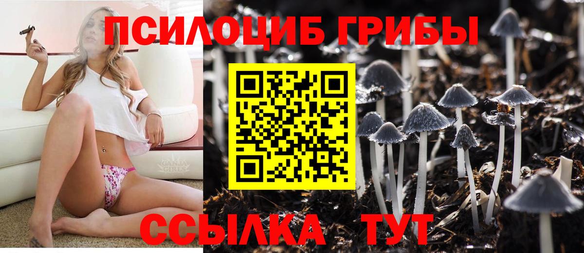 Галлюциногенные грибы Psilocybine cubensis  Вход с VPN  Ессентуки  Псилоцибиновые грибы прущие грибы 