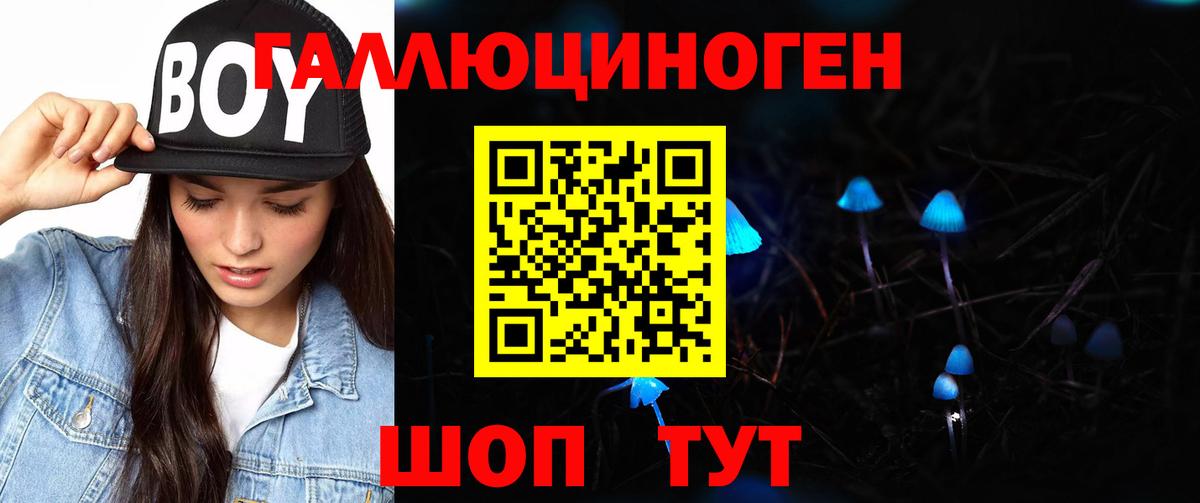 Псилоцибиновые грибы Psilocybe Ессентуки